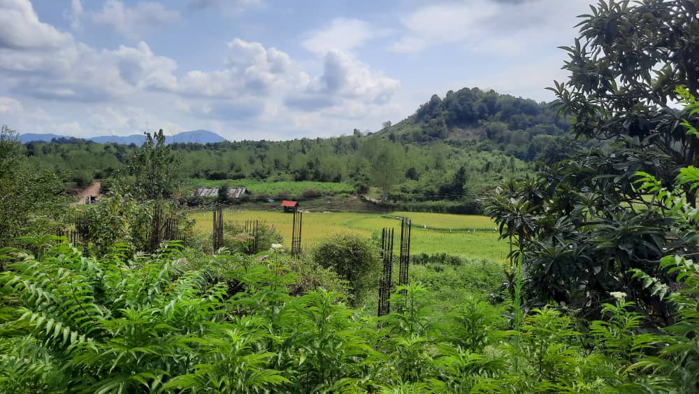 فروش زمین مسکونی ۶۶۰ متری با مجوز و پروانه ساخت